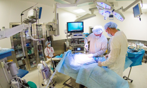 clinical practice