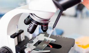 excellent laboratory